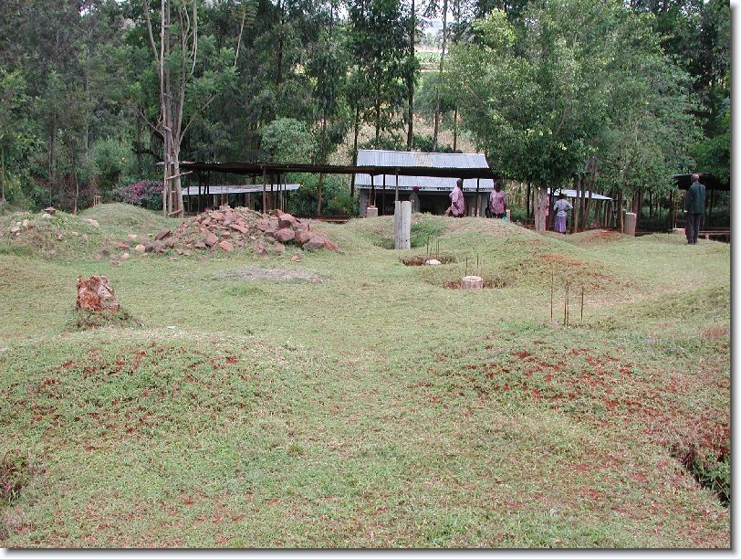 You have reached the last slide